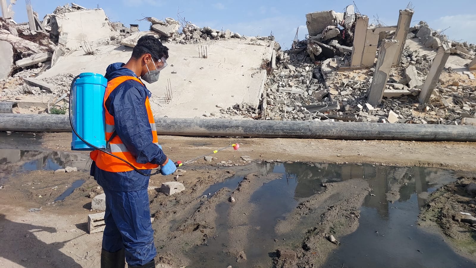 البدء في رش المبيدات الحشرية ضمن حملة مكافحة القوارض والحشرات
