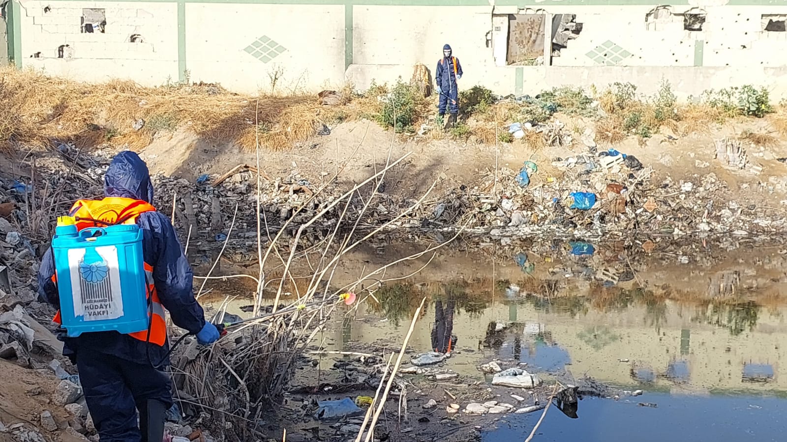 البدء في رش المبيدات الحشرية ضمن حملة مكافحة القوارض والحشرات