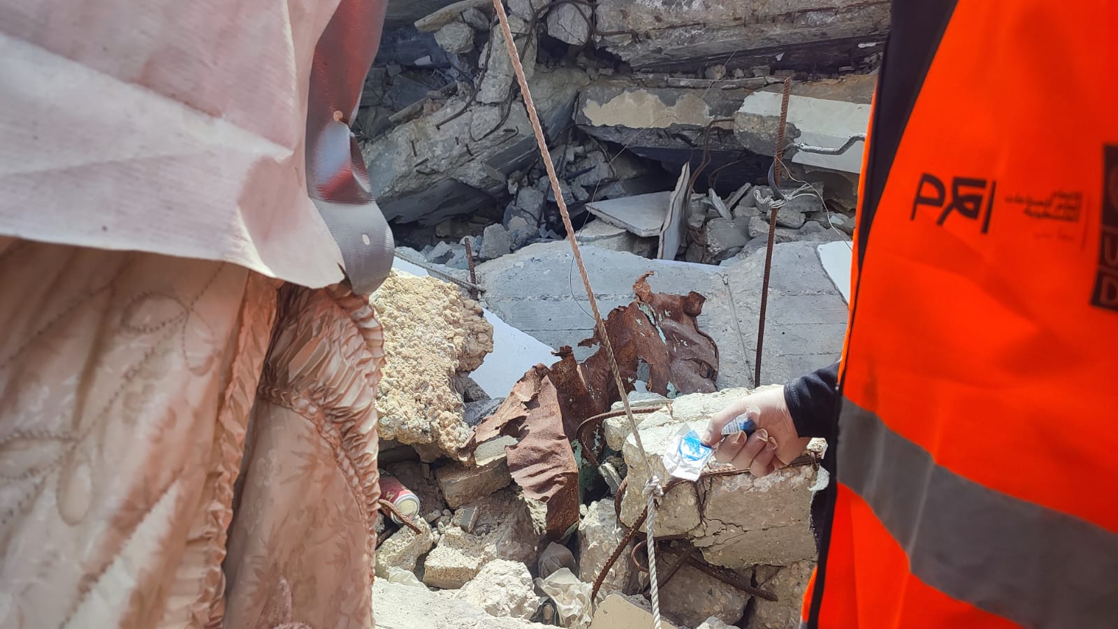 بدء جهود توزيع الطعوم السامة ضمن حملة مكافحة القوارض والحشرات
