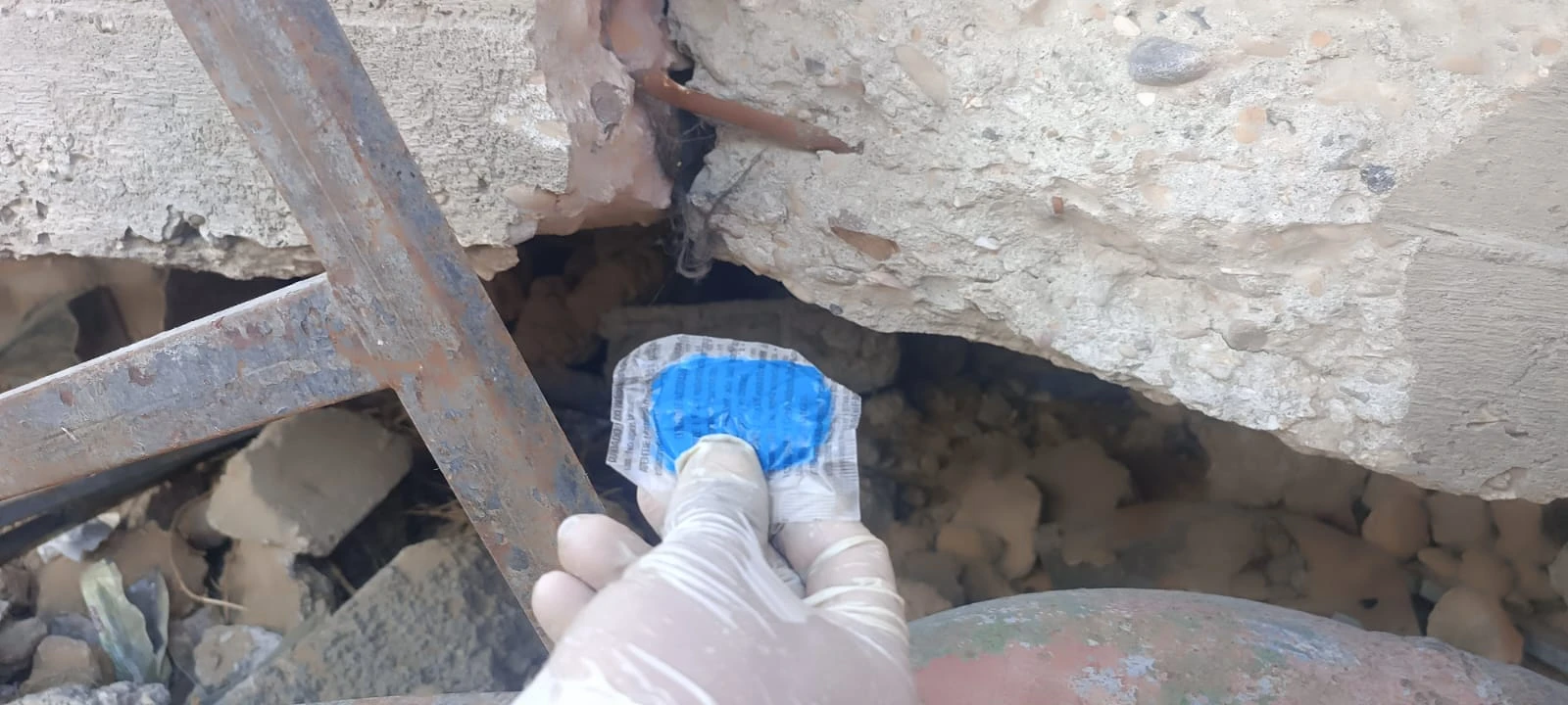 استمرار جهود محاربة القوارض في مدينة جباليا