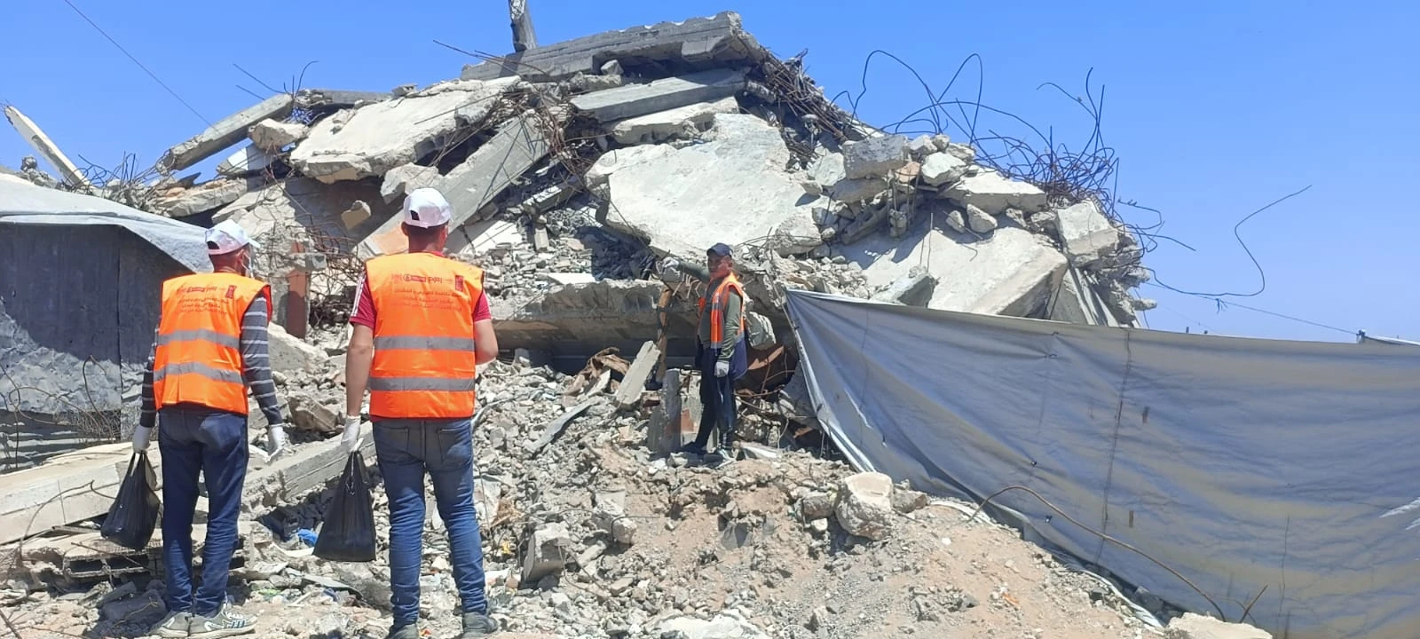 استمرار جهود محاربة القوارض في مدينة جباليا